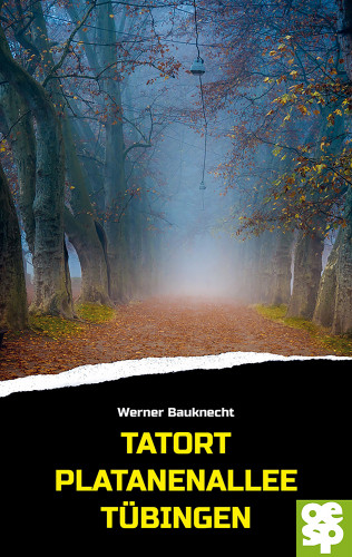 Werner Bauknecht: Tatort Platanenallee Tübingen
