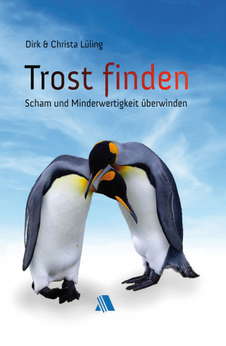 Dirk Lüling, Christa Lüling: Trost finden