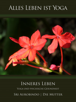 Sri Aurobindo, Die (d.i. Mira Alfassa) Mutter: Inneres Leben