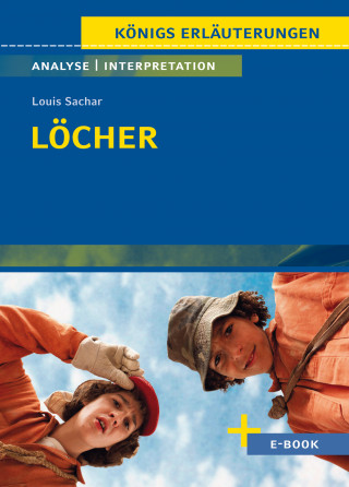Louis Sachar: Löcher von Louis Sachar - Textanalyse und Interpretation