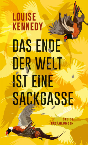 Louise Kennedy: Das Ende der Welt ist eine Sackgasse