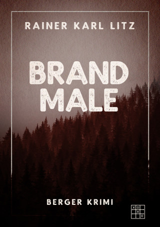 Rainer Karl Litz: Brandmale