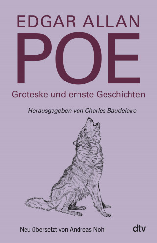 Edgar Allan Poe: Groteske und ernste Geschichten