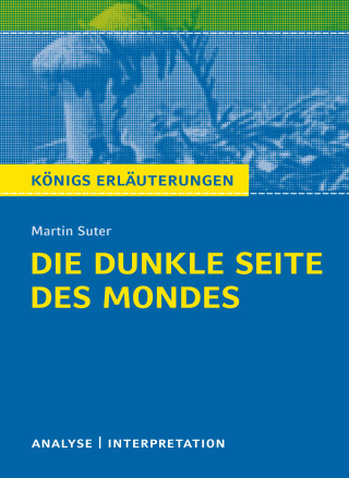 Martin Suter, Ruth Hassler: Die dunkle Seite des Mondes.