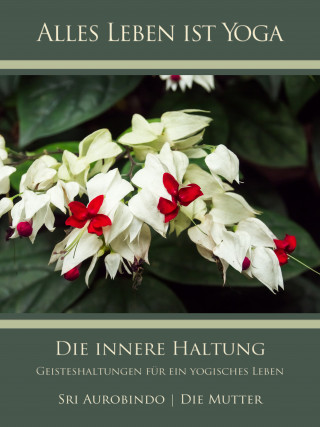 Sri Aurobindo, Die (d.i. Mira Alfassa) Mutter: Die innere Haltung