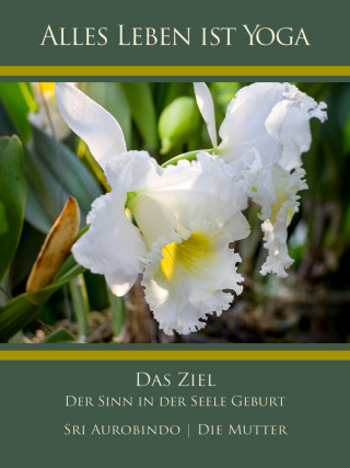 Sri Aurobindo, Die (d.i. Mira Alfassa) Mutter: Das Ziel