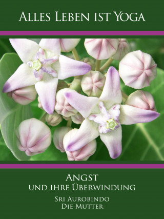 Sri Aurobindo, Die (d.i. Mira Alfassa) Mutter: Angst und ihre Überwindung