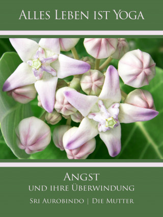 Sri Aurobindo, Die (d.i. Mira Alfassa) Mutter: Angst und ihre Überwindung