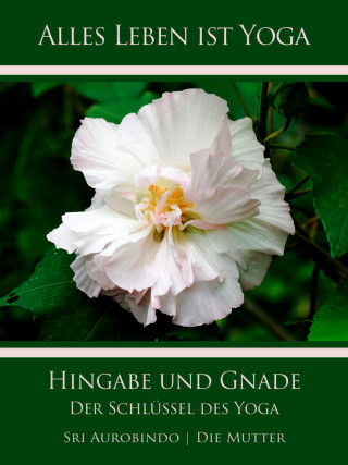 Sri Aurobindo, Die (d.i. Mira Alfassa) Mutter: Hingabe und Gnade