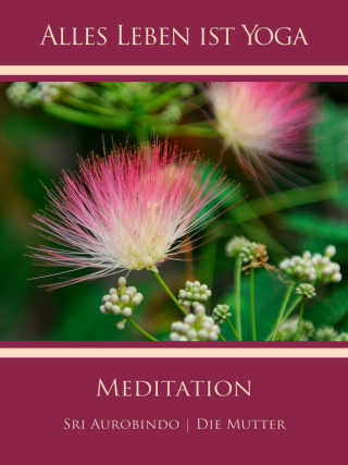 Sri Aurobindo, Die (d.i. Mira Alfassa) Mutter: Meditation
