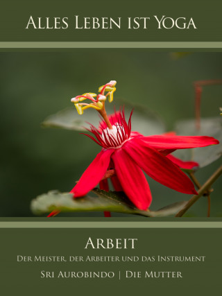 Die (d.i. Mira Alfassa) Mutter, Sri Aurobindo: Arbeit