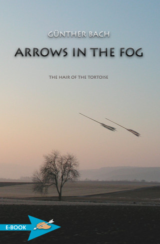 Günther Bach: Arrows In The Fog