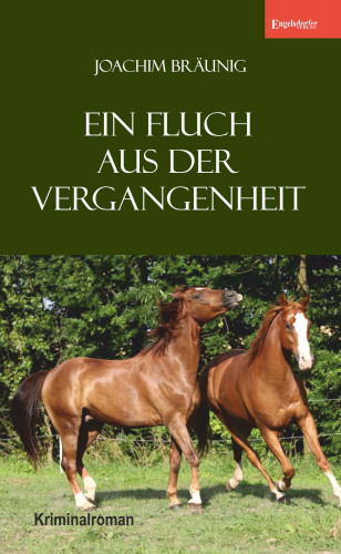 Joachim Bräunig: Ein Fluch aus der Vergangenheit