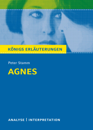 Margret Möckel, Peter Stamm: Agnes von Peter Stamm. Königs Erläuterungen.