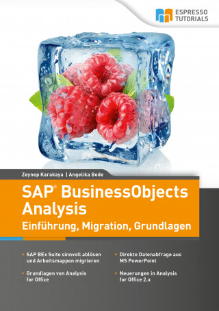 Angelika Bode, Zeynep Karakaya: SAP BusinessObjects Analysis - Einführung, Migration, Grundlagen