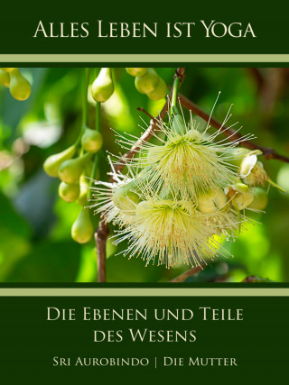 Sri Aurobindo, Die (d.i. Mira Alfassa) Mutter: Die Ebenen und Teile des Wesens