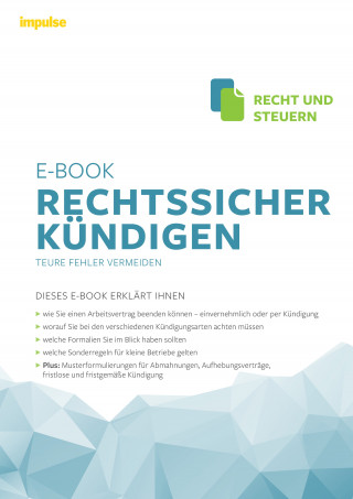 Andreas Kurz, Peter Neitzsch: Rechtssicher kündigen