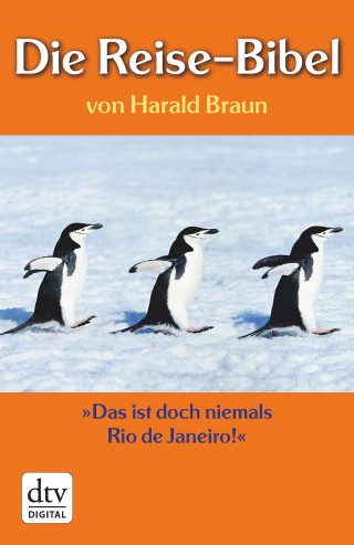 Harald Braun: Die Reise-Bibel