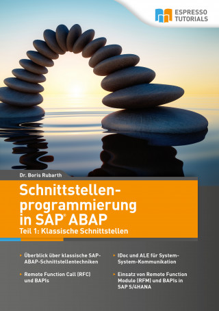 Dr. Boris Rubarth: Schnittstellenprogrammierung in SAP ABAP