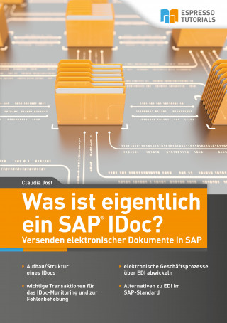 Claudia Jost: Was ist eigentlich ein SAP IDoc? Versenden elektronischer Dokumente in SAP