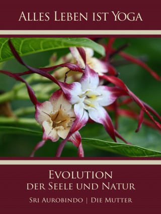 Sri Aurobindo, Die (d.i. Mira Alfassa) Mutter: Die Evolution der Seele und Natur