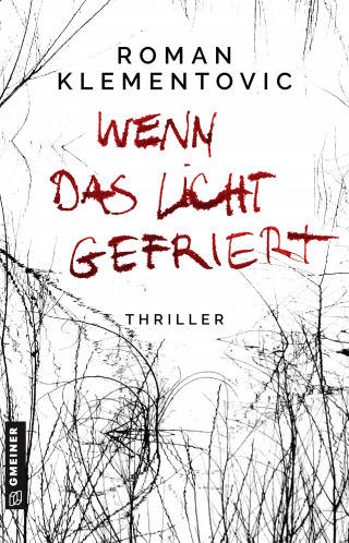 Roman Klementovic: Wenn das Licht gefriert