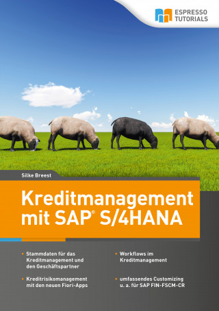 Silke Breest: Kreditmanagement mit SAP S/4HANA