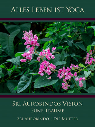 Sri Aurobindo, Die (d.i. Mira Alfassa) Mutter: Sri Aurobindos Vision