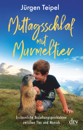Jürgen Teipel: Mittagsschlaf mit Murmeltier