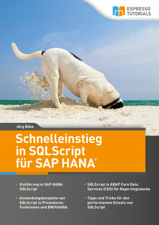 Jörg Böke: Schnelleinstieg in SQLScript für SAP HANA
