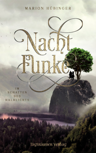 Marion Hübinger: Nachtfunke 2