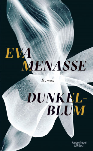 Eva Menasse: Dunkelblum