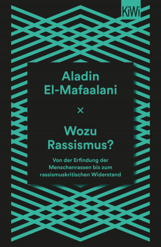 Aladin El-Mafaalani: Wozu Rassismus?