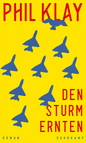Phil Klay: Den Sturm ernten