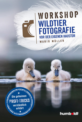 Mario Müller: Workshop Wildtierfotografie vor der eigenen Haustür