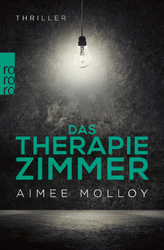 Aimee Molloy: Das Therapiezimmer