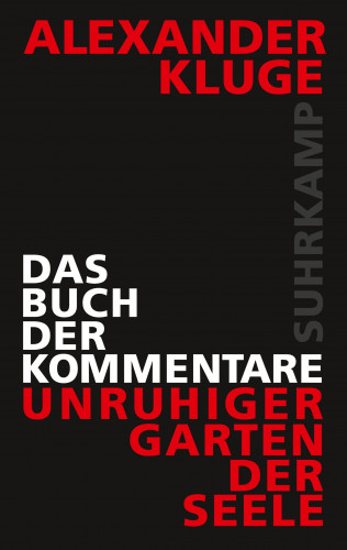 Alexander Kluge: Das Buch der Kommentare