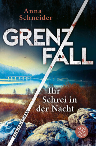 Anna Schneider: Grenzfall - Ihr Schrei in der Nacht