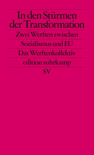 Philipp Ther, Ulf Brunnbauer, Piotr Filipkowski, Andrew Hodges, Stefano Petrungaro, Peter Wegenschimmel: In den Stürmen der Transformation