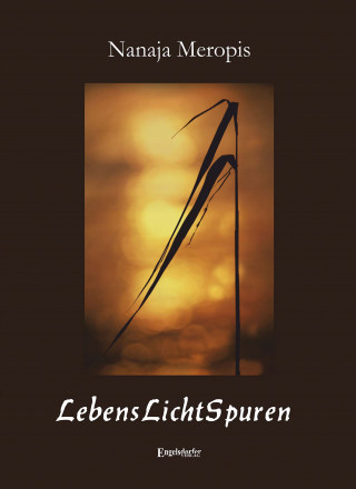 Nanaja Meropis: LebensLichtSpuren