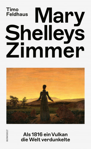 Timo Feldhaus: Mary Shelleys Zimmer