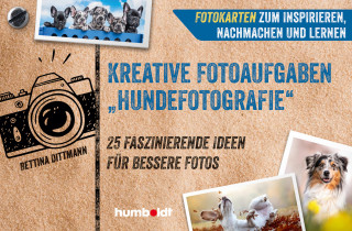 Bettina Dittmann: Fotokarten. Kreative Fotoaufgaben "Hundefotografie"