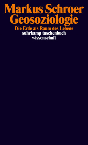 Markus Schroer: Geosoziologie