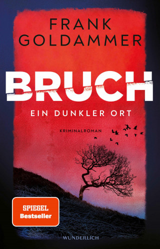 Frank Goldammer: Bruch: Ein dunkler Ort