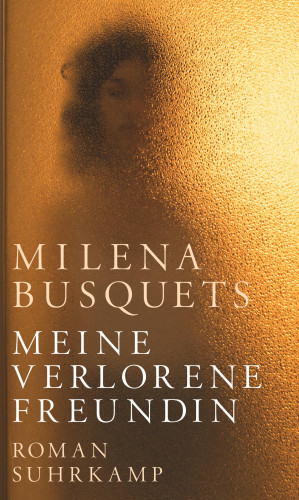 Milena Busquets: Meine verlorene Freundin