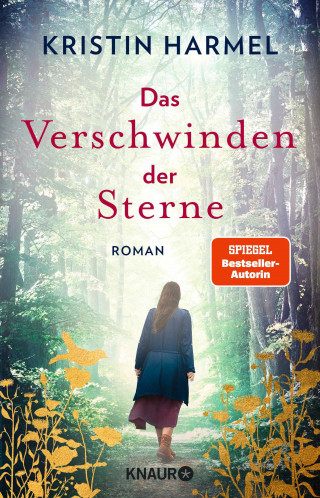 Kristin Harmel: Das Verschwinden der Sterne