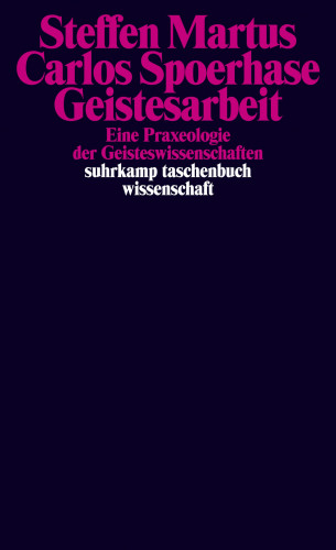 Steffen Martus, Carlos Spoerhase: Geistesarbeit