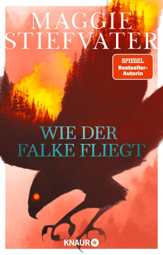 Maggie Stiefvater: Wie der Falke fliegt