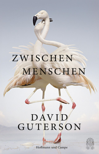 David Guterson: Zwischen Menschen