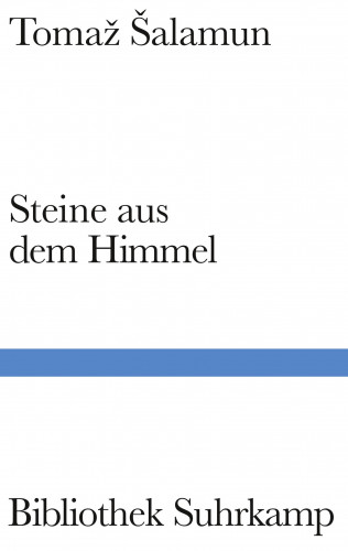Tomaž Šalamun: Steine aus dem Himmel